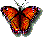 butterfly.gif (5253 bytes)