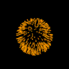 firework.gif (16577 bytes)